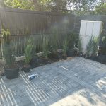 Zielony zakatek ogrody Konstancin