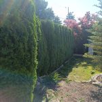 Zielony zakatek ogrody Konstancin