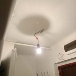 Zielony zakatek ogrody Konstancin