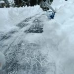 Zielony zakatek ogrody Konstancin