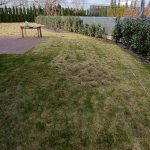 Zielony zakatek ogrody Konstancin