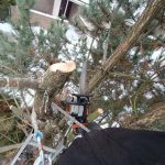 Zielony zakatek ogrody Konstancin