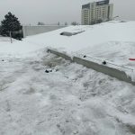 Zielony zakatek ogrody Konstancin