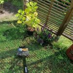 Zielony zakatek ogrody Konstancin