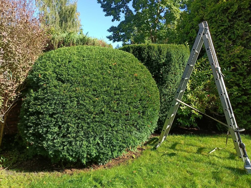 Zielony zakatek ogrody Konstancin