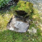 Zielony zakatek ogrody Konstancin