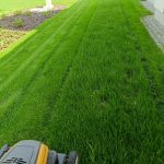 Zielony zakatek ogrody Konstancin